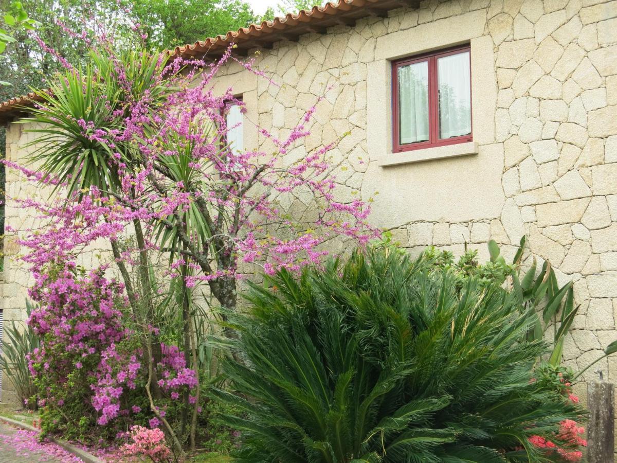 Villa Casa Dos Tinocos à Braga Extérieur photo