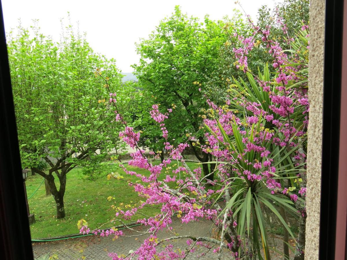 Villa Casa Dos Tinocos à Braga Extérieur photo